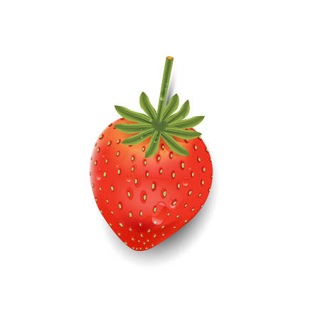 Strawberry with white backgroundのイラスト素材