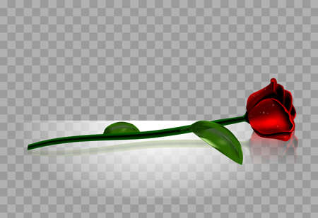 Red rose with isolated backgroundのイラスト素材