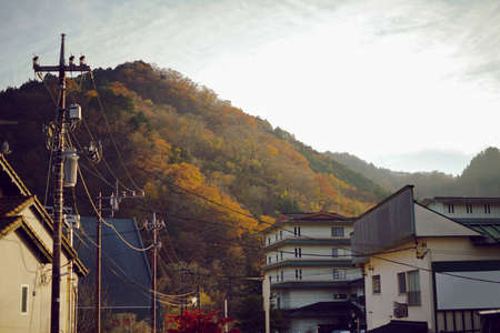 Maple leaves changing color, Autumn seasons at Tokyo in Japanのeditorial素材