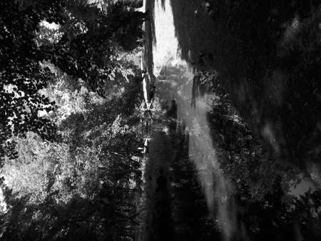 River in the parkの写真素材