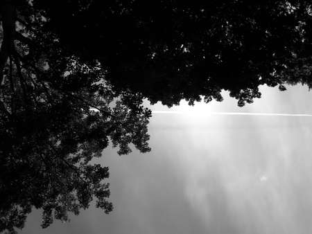 Line at the skyの写真素材