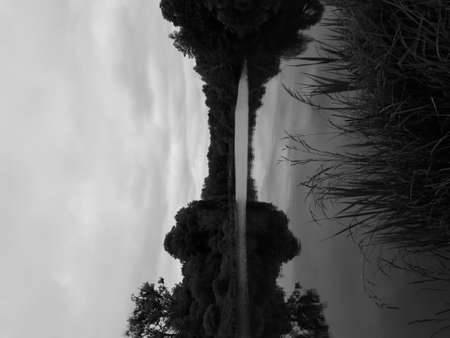Landscapes of the summer lake in black and white colorの写真素材