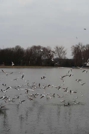 European public space with the urban environment, transport, people and natureの写真素材