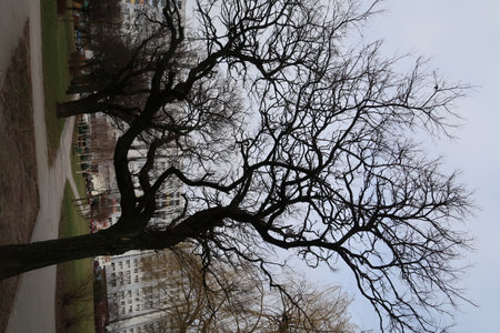 Urban and green east europe public spaceの写真素材