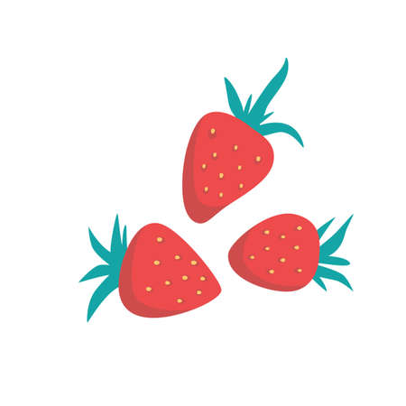 Ripe red strawberries, whole berries. Fresh fruits on a white background. Isolated vector illustrations.のイラスト素材
