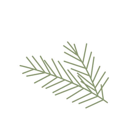Fir twig isolated on white. Beautiful detail for Christmas and nature illustration concepts. Christmas symbol. Traditional ornament symbol. Vector illustrationのイラスト素材
