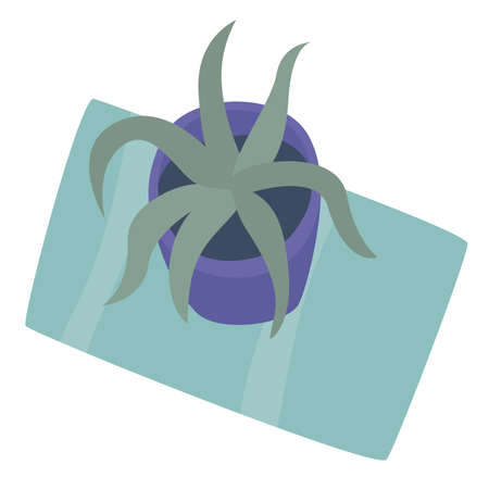 Indoor plant haworthia in a pot for interior decor at home, office, indoor use. Vector illustration isolated on white background. Trendy home decor with plants, urban jungle. Succulentのイラスト素材