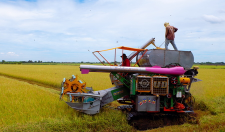 Nonthaburi, Thailand  September 13, 2015  The native Farmers with Combine harvester harvesting rice on sunny day.のeditorial素材