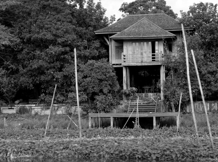 Riverside abandoned Wooden house among the treeの写真素材