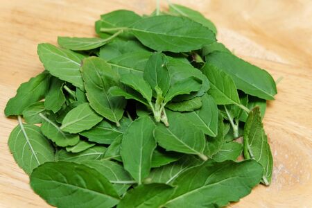 Part of Holy basil pile on wooden floorの写真素材