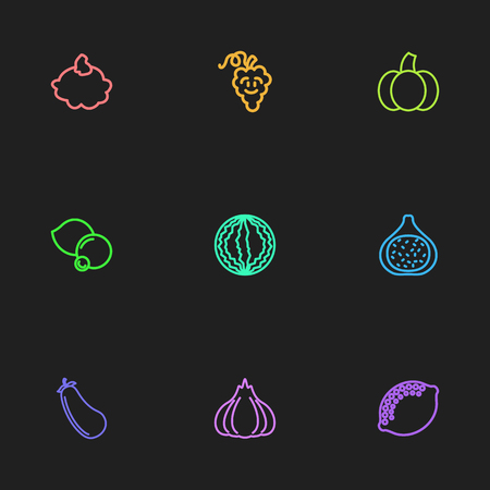 Set Of 9 Editable Cooking Icons. Includes Symbols Such As Muskmelon, Lemon, Garlic And More. Can Be Used For Web, Mobile, UI And Infographic Design.のイラスト素材