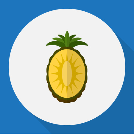 Vector Illustration Of Fruits Symbol On Pineapple Flat Iconのイラスト素材