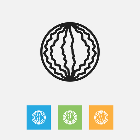 Vector Illustration Of Kitchenware Symbol On Melon Outlineのイラスト素材
