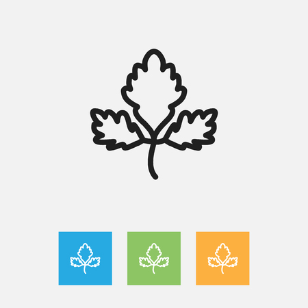 Vector Illustration Of Meal Symbol On Parsley Outlineのイラスト素材