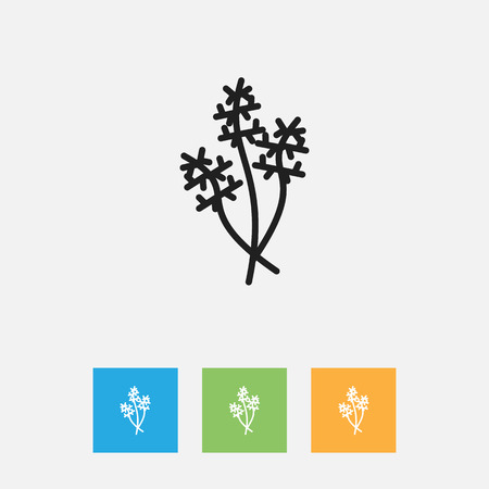 Vector Illustration Of Cooking Symbol On Parsley Outlineのイラスト素材