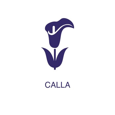 Calla element in flat simple style on white background. Calla icon, with text name concept templateのイラスト素材
