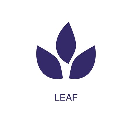 Leaf element in flat simple style on white background. Leaf icon, with text name concept templateのイラスト素材