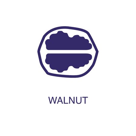 Walnut element in flat simple style on white background. Walnut icon, with text name concept templateのイラスト素材