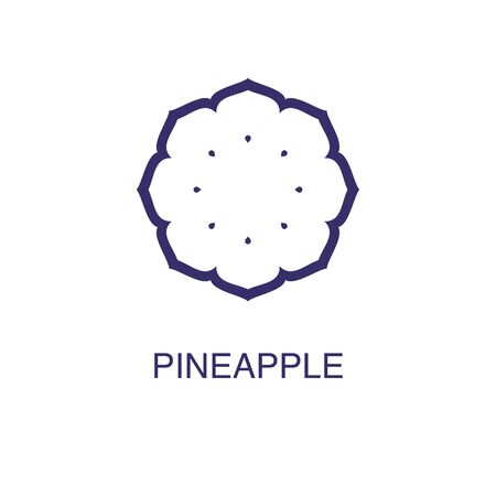 Pineapple element in flat simple style on white background. Pineapple icon, with text name concept templateのイラスト素材