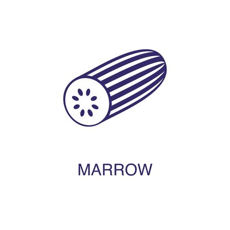 Marrow element in flat simple style on white background. Marrow icon, with text name concept templateのイラスト素材