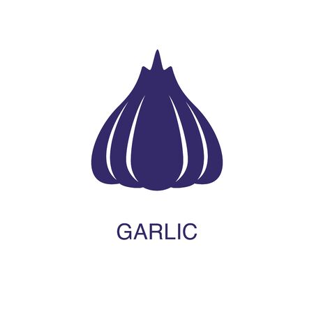 Garlic element in flat simple style on white background. Garlic icon, with text name concept templateのイラスト素材