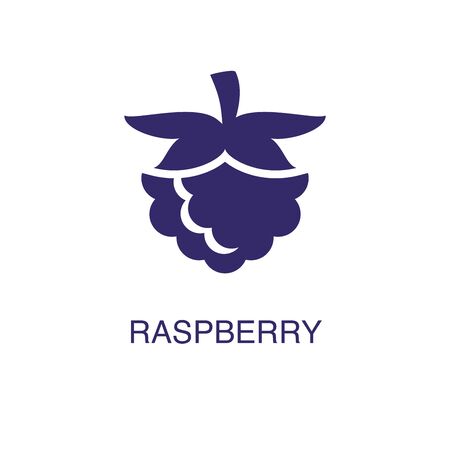 Raspberry element in flat simple style on white background. Raspberry icon, with text name concept templateのイラスト素材