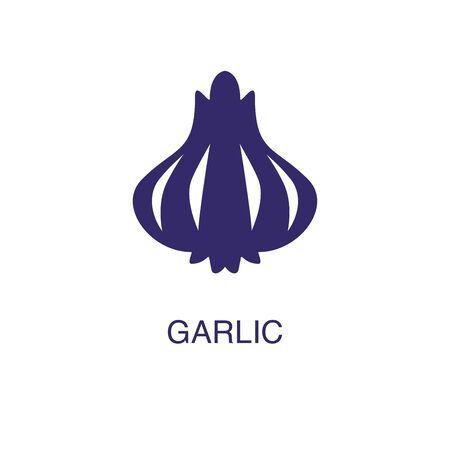 Garlic element in flat simple style on white background. Garlic icon, with text name concept templateのイラスト素材