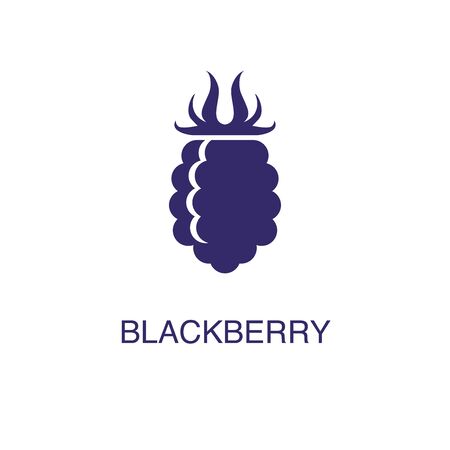 Blackberry element in flat simple style on white background. Blackberry icon, with text name concept templateのイラスト素材