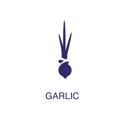 Garlic element in flat simple style on white background. Garlic icon, with text name concept templateのイラスト素材