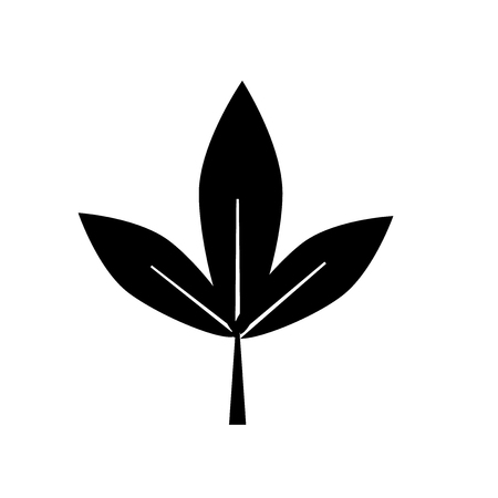 Leaf icon vector isolated on white background for your web and mobile app design, Leaf logo conceptのイラスト素材