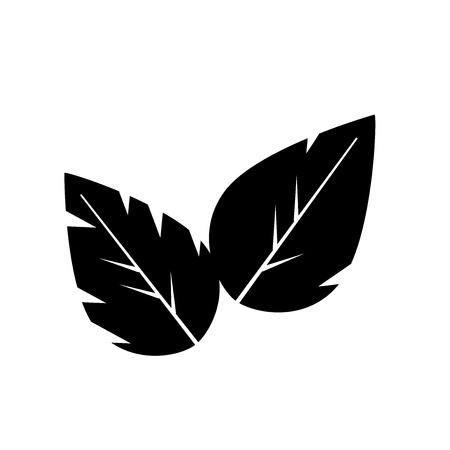 Leaves icon vector isolated on white background for your web and mobile app design, Leaves logo conceptのイラスト素材