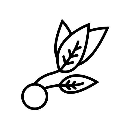 Leaf icon vector isolated on white background, Leaf transparent sign , line or linear sign, element design in outline styleのイラスト素材