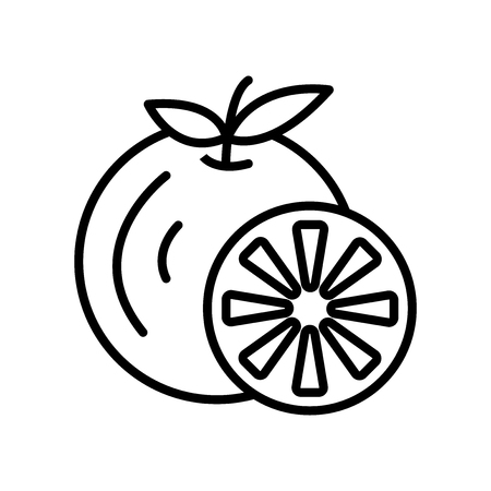 Tangerine icon vector isolated on white background, Tangerine transparent signのイラスト素材