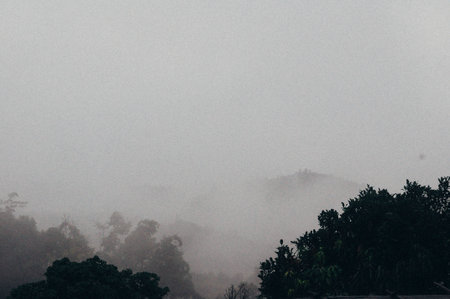 Mist in the north of thailand
