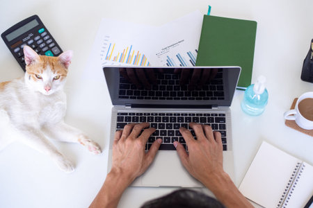 A man working from home with cat besidesの写真素材