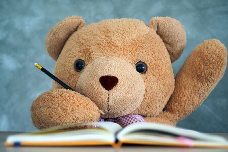 Teddy Bear sitting on a desk And raise your hand when asked. Communication to school children. Give Teddy Bear a Student Representativeの写真素材