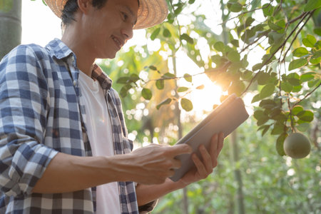 5G wireless network, high speed internet, cloud computing or connect diagram technology, Data storage, service, synchronize, online, financial, Connectivity global, smart city, ecommerce, facilityの写真素材