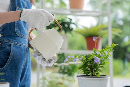 gardening home. woman replanting green tree in home garden. flowerpots as hobby and relax. plant sales, house garden, jungle, gardener, flower decoration, freelance, home jungle,Garden, Floral decor.の写真素材
