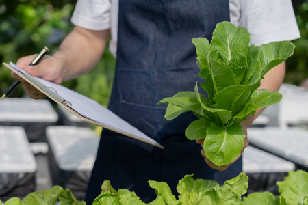 Organic farming, vegetable farm. Farmers recheck quality record on data on checklist. grow naturally, Ecological Biological, Healthy, Technology, non toxic, harvest, scientific , academicの写真素材