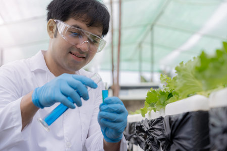 Organic farming, salad farm. Science farmers are checking water conditions during planting, checking...