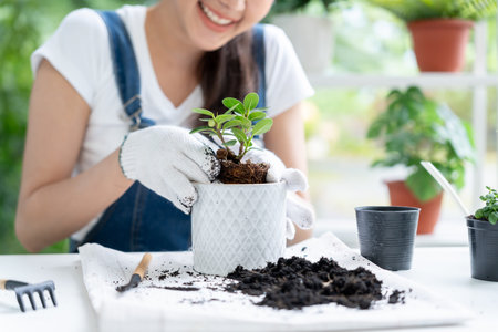 beautiful Asian woman female plant and take care trees in flowerpots as hobby and relax. plant sales...