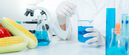 Scientist check chemical food residues in laboratory. Control experts inspect quality of fruits, vegetables. lab, hazards, ROHs, find prohibited substances, contaminate, Microscope, Microbiologistの写真素材