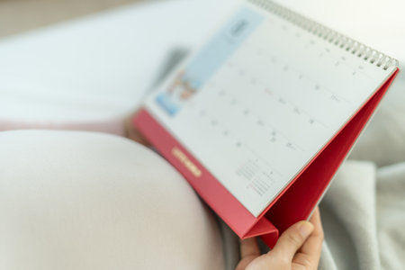 pregnant woman look schedule for due date of birth. prepare, newborn, developmental, monitor, appointmentの写真素材