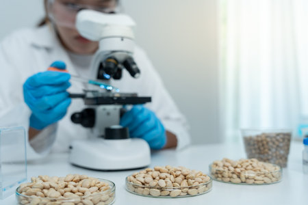 Scientist check chemical whole grains residues in laboratory. Control experts inspect the concentration of chemical residues. hazards, standard, prohibited substances, contaminateの写真素材