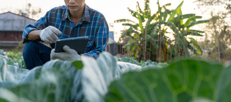 Farmers use the main data network in the internet, agricultural technology, work on crop data analysis by tablet ,technology for plantation data link with internetの写真素材