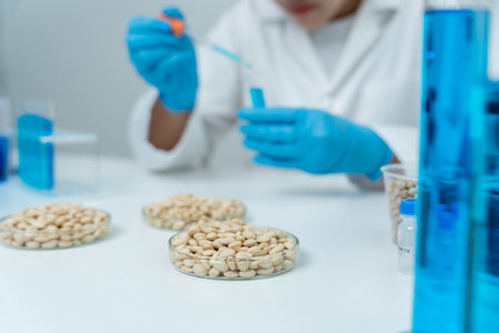 Scientist check chemical whole grains residues in laboratory. Control experts inspect the concentration of chemical residues. hazards, standard, prohibited substances, contaminateの写真素材