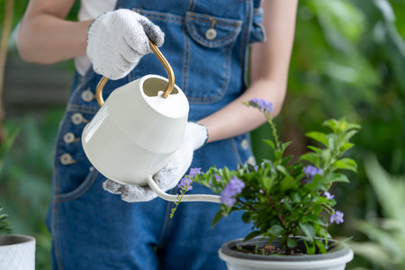 gardening home. woman use watering pot for tree in home garden. flowerpots as hobby and relax. plant sales, house garden, jungle, gardener, flower decoration, freelance, homeの写真素材