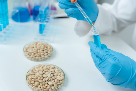 Scientist use magnifying glass to check physical occur from chemical on fruit and whole grains  residues in laboratory. inspect the concentration of chemical residuesの写真素材