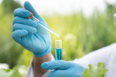 Organic farming, salad farm. Science farmers are checking water conditions during planting, checking for pesticide residues. Hydroponics vegetable, Ecological Biological, Healthy,の写真素材