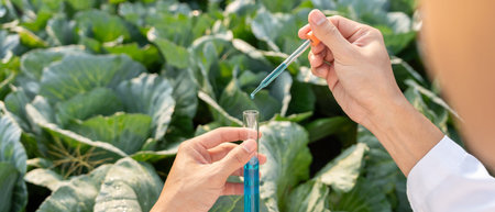 Organic farming, salad farm. Science farmers are checking water conditions during planting, checking...